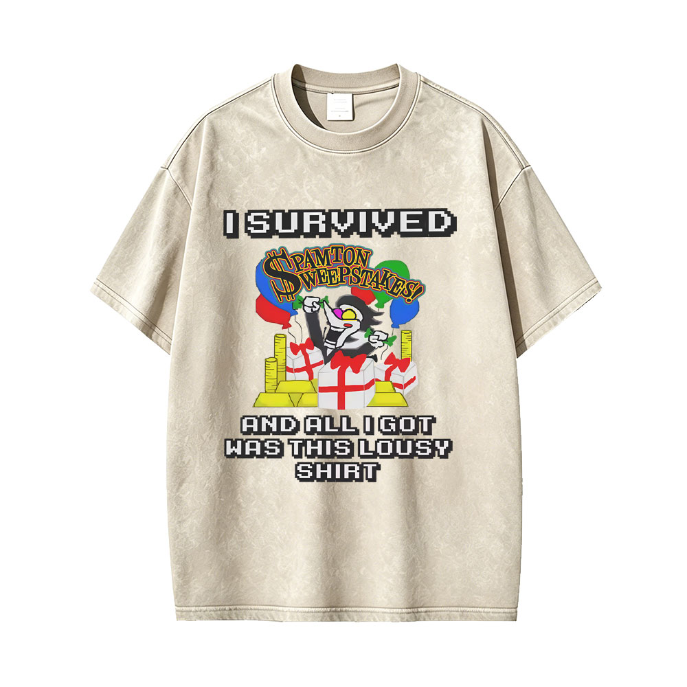 Washed Vintage Game Deltarune  - Retro Gaming T Shirt recension och pris